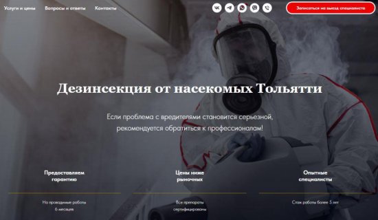 Дезинсекция: Эффективная борьба с насекомыми